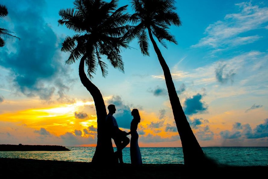 Silhouette Photo of Male and Female Under Palm Trees